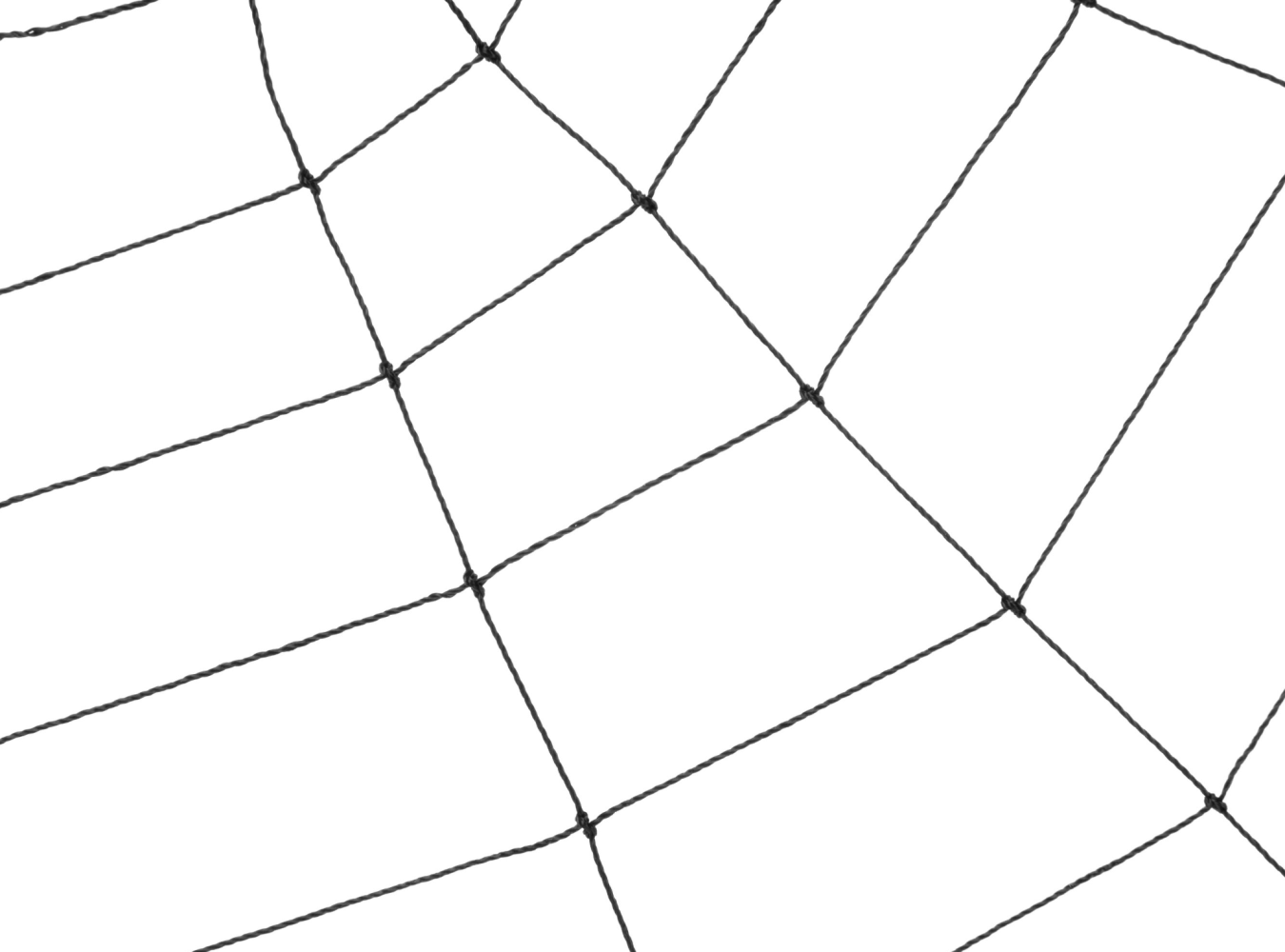 spinnennetz